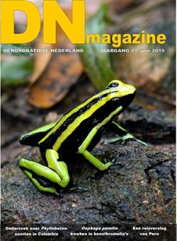 DN-Magazine