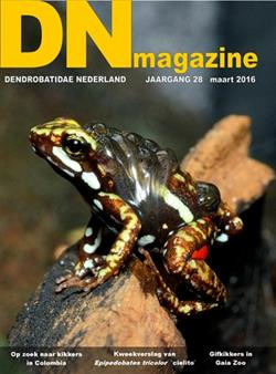 DN-Magazine