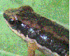 image01