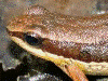 image01