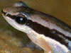 image01