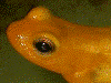 image01