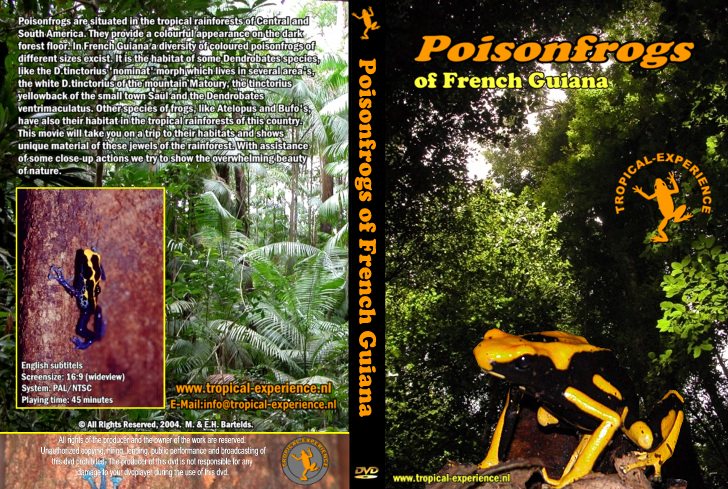 Poison Frogs of French Guiana