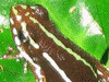 image01