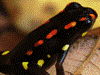 image01