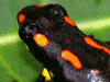 image01