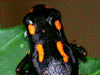 image01