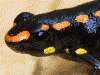 image01