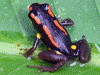 image01