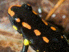 image01