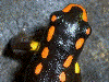 image01