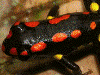 image01