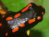 image01