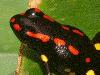 image01