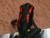 image01