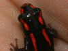image01