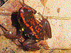 image01
