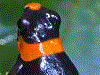 Oophaga lehmanni