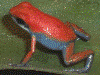 image01