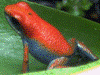 image01