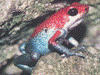 image01