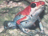 image01