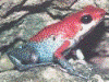 image01