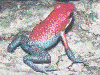 image01