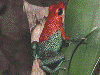 image01