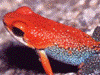 image01