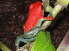 image01