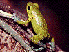 image01
