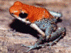 image01