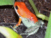 image01