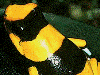 image02