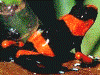 image03