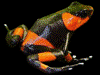 image02