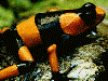 image02