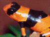 image03