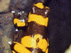 image02