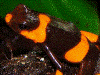 image02