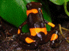 image03