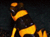 image03