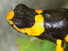 image03