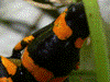 image03