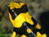 image02