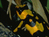 image03