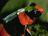 image02
