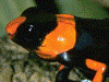 image03