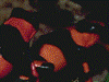 image03